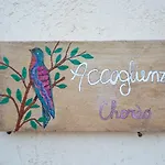 Aguni E Palizzi