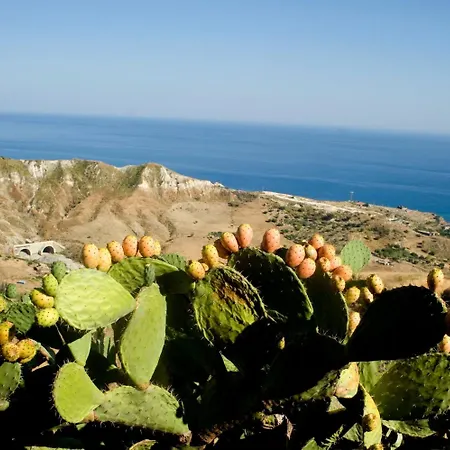 Séjour à la ferme Aguni E